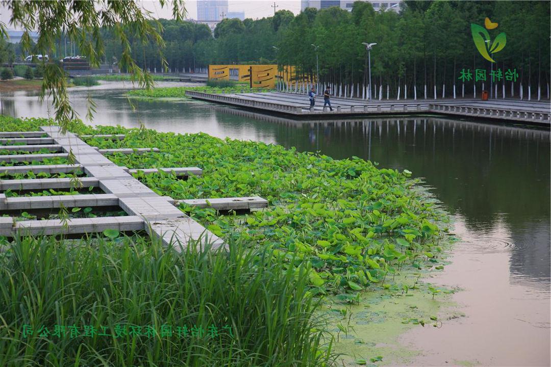 宁波鄞州中心区河道菲律宾网赌合法平台改造案例图